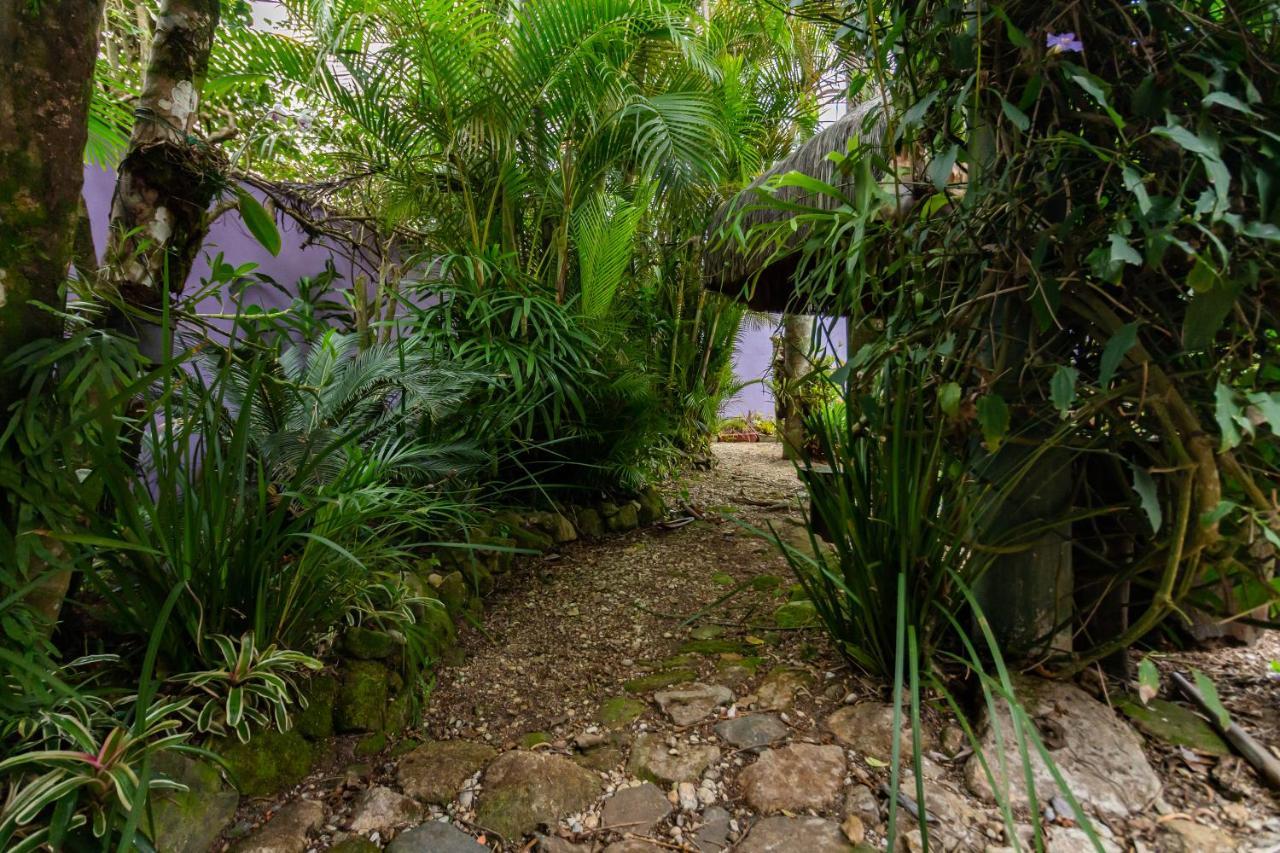 O paraíso em Peruíbe Exterior foto